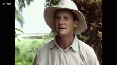 "A grey monument stands
beneath two mango trees. - Michael Palin: Travels of a Lifetime