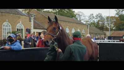 A guinea is £1.05, - Horsepower