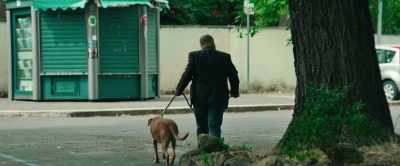 A guy with a beard walking his dog, - Dark Glasses