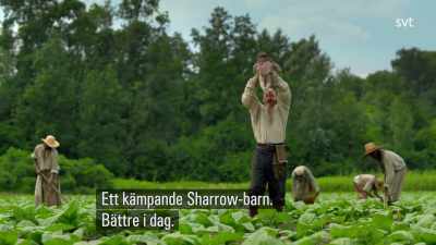 A-ha! Better today. - Jamestown