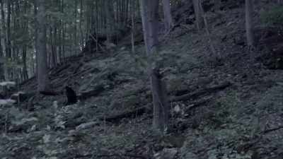 A half mile away, - Blood and Fury: America's Civil War