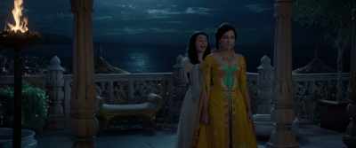 A handsome prince wants to marry you - Aladdin