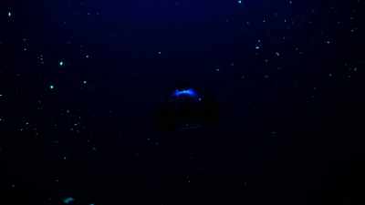 A hidden world you can only see
in total darkness. - Welcome to Earth