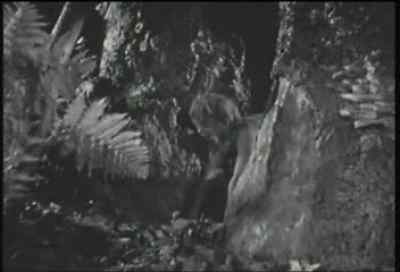 A hog! - A Midsummer Night's Dream
