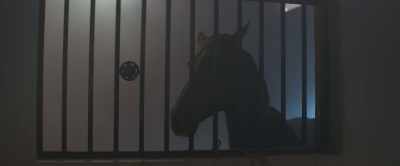 A horse was calling to me over and over
for help. - Black Beauty
