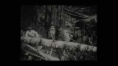A hundred years later, 1970, - Sasquatch