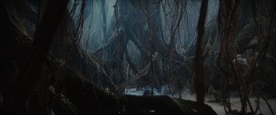 A Jedi's strength flows from the Force - Star Wars: Episode V   The Empire Strikes Back