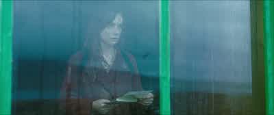 A job offer from a library on the mainland, is it? - The Banshees of Inisherin