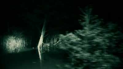 A KILLER CROC COULD BE
STARING ME IN THE FACE RIGHT NOW - Expedition Mungo