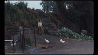 A kindly young man, who always
does what people ask, lazzaro, - The Story of Film: A New Generation