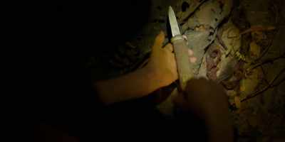 A knife... with the Lofthouse
crest and initials. - Miss Fisher and the Crypt of Tears