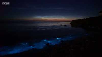 A lack of storms and the calm, - Wales: Land of the Wild
