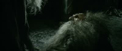 A lifetime. - The Hobbit: The Desolation of Smaug