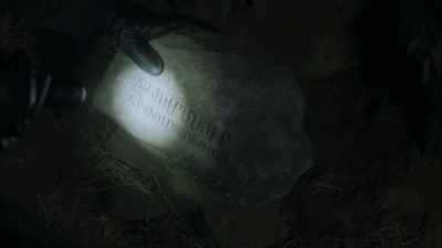 "A light in the darkness
will show the way." - The Christmas Quest