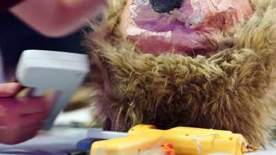 A lion can't be king - Craftopia