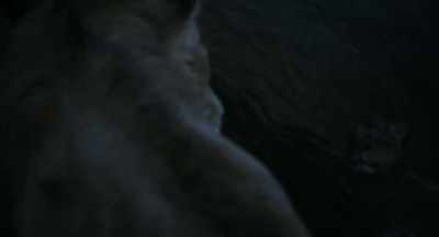 A lion
who fears water, - Mufasa: The Lion King