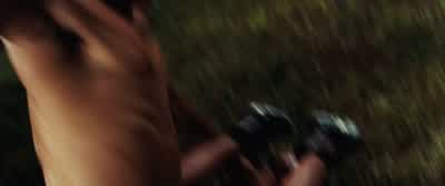 A little black on brown. - Never Back Down
