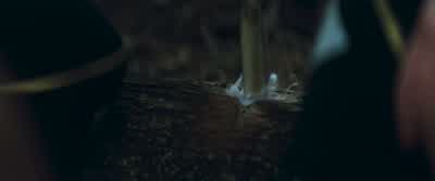 A little brute force is always helpful - The Hunger Games: Catching Fire