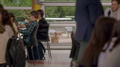 -A little.
-Can I come in now? How about now? - The Healing Powers of Dude