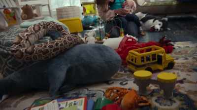 A little dinosaur.
Like a little dinosaur. - Guest House