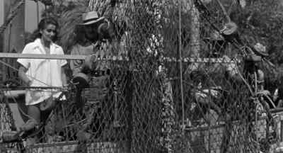 A little faster.
Come on! Faster! - Creature from the Black Lagoon