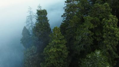 A little further south - Our Planet
