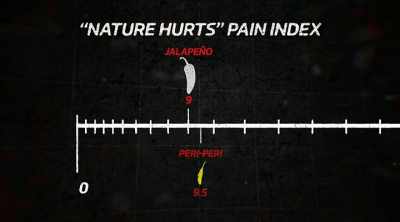 A little higher score
than the jalapeno, - Kings of Pain