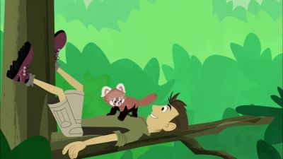 A little red panda. - Wild Kratts