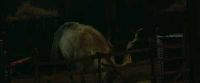 A little replica of Angus, - The King's Man