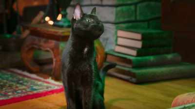 A little rhyme to charm with style
Keep those feline forms a while - Scaredy Cats