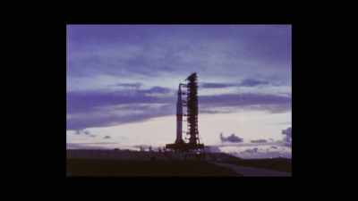 A lonely group of chance
biological specimens - Magellan