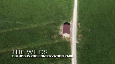 a-long-way-from-the-group - Secrets of the Zoo