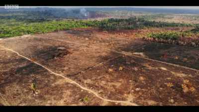 A lot of that clearance
is driven by demand - Extinction: The Facts
