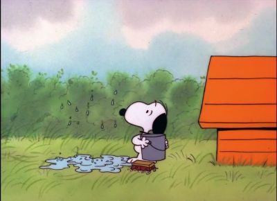 A lot of good that did - It's Magic, Charlie Brown