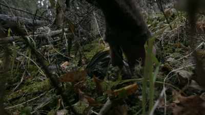 A lot of
high-quality protein there. - Life Below Zero: Next Generation