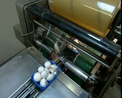 A MACHINE PERFORATES
THE PLASTIC COVERING - How It's Made