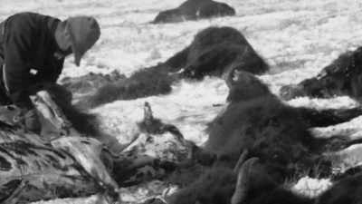 A man was hunched over
one of them, - The American Buffalo