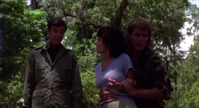 A man who loves gives hostages to fortune - Swamp Thing
