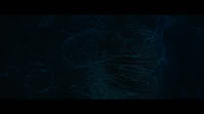 A map. Now, where am I? A tree. The entrance cave. - Damsel