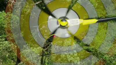 A marksman with great skill
can shoot the Miconia - The Green Planet