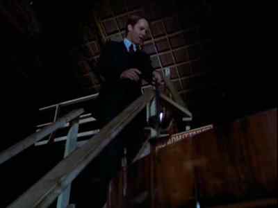 A MARVELOUS NOSE,
RICH RUBY ROBE, - Remington Steele