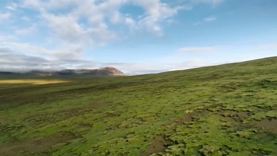 'A mere 2.5 million years - A Year on Planet Earth
