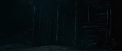 A Methodist and a son of a bitch - True Grit