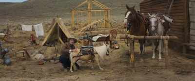 A miniature horse.
Name's Butterscotch. - Damsel