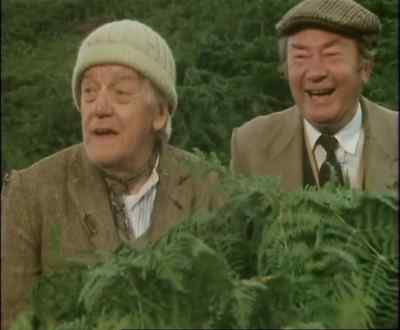 A moving bush. - Last of the Summer Wine