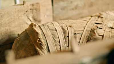 A mummy that's over 2,000 years old. - Tutankhamun: Secrets of the Tomb