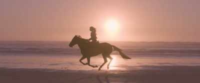 A mustang's spirit can never be broken. - Black Beauty
