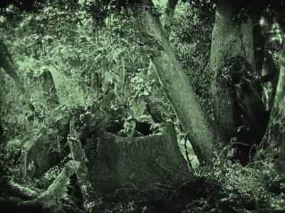 A mysterious stranger
invades Sherwood Forest... - Robin Hood