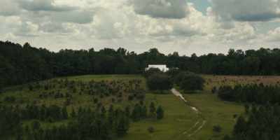 - A mystery in the Lowcountry: - Low Country: The Murdaugh Dynasty