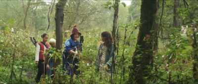 A mystical bird holds
the key to victory - Robin and the Hoods